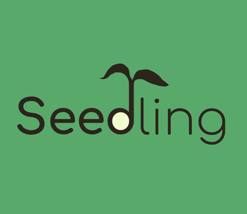 Seedling